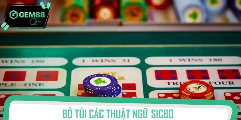 Giải mã luật chơi Live Sicbo – Làm chủ từng cú lắc xí ngầu